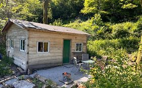 Foxglove Eco Lodge