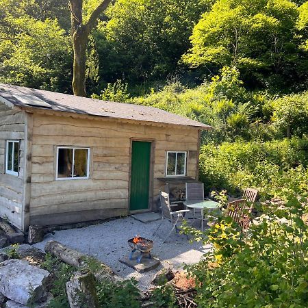 Foxglove Eco Lodge Llanelli Exterior photo