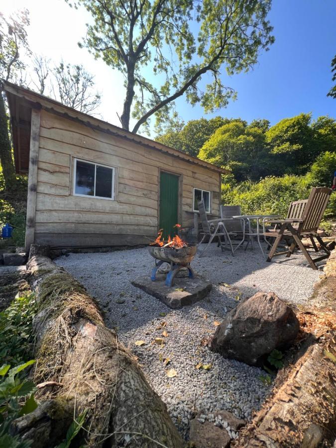 Foxglove Eco Lodge Llanelli Exterior photo