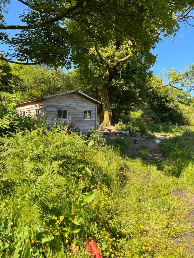 Foxglove Eco Lodge Llanelli Exterior photo